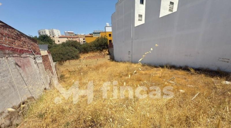 Sevilla - Alcalá de Guadaíra - 1000m2
