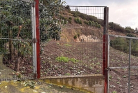 Los Realejos 7000&nbsp;m² 