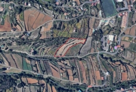 Los Realejos 7000&nbsp;m² 