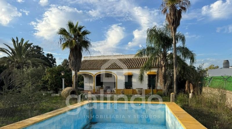 Seville - Marchena - 1100m2