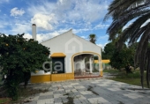 Chalet independiente con terreno en venta en la España, Marchena, ref: TR239543 foto