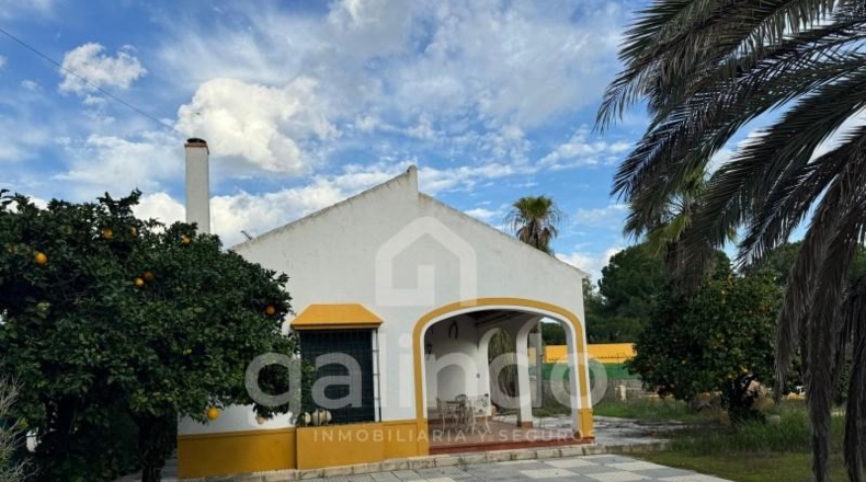 Seville - Marchena - 1100m2