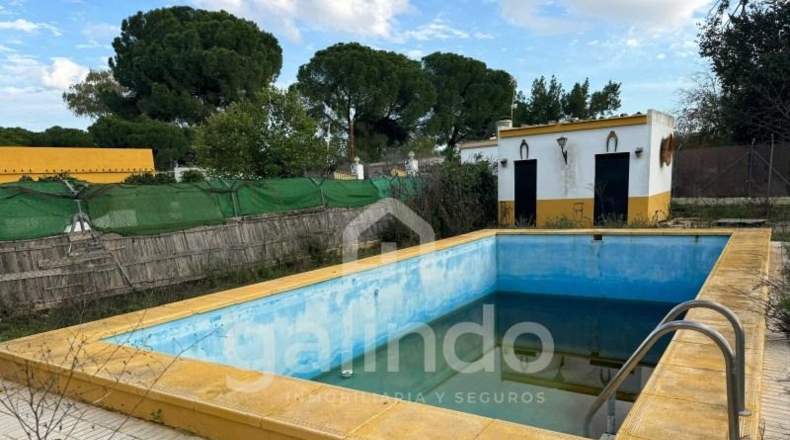 Seville - Marchena - 1100m2