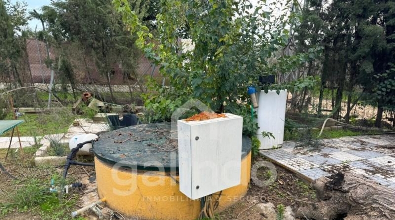 Seville - Marchena - 1100m2