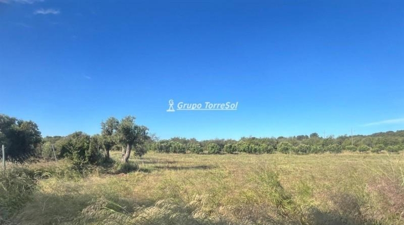 Tarragona - el Vendrell - 1581m2