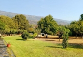 Casa de campo con terreno en venta en la España, Casas del Castañar, ref: TR377872 foto