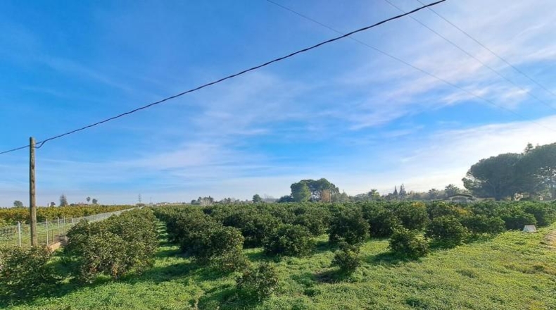 Valencia - Alcira - 24408m2