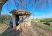 House with land for sale on España, Alzira, ref: TR372647 photo