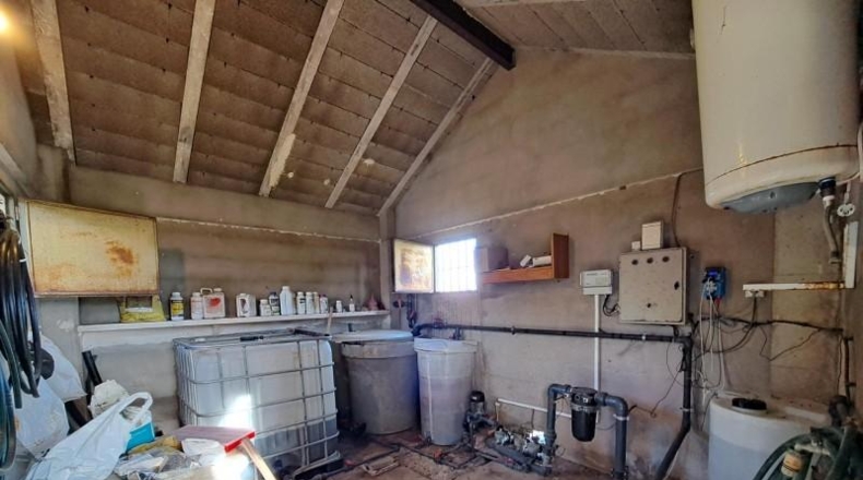 Valencia - Alcira - 24408m2