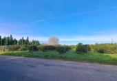 House with land for sale on España, Alzira, ref: TR372647 photo