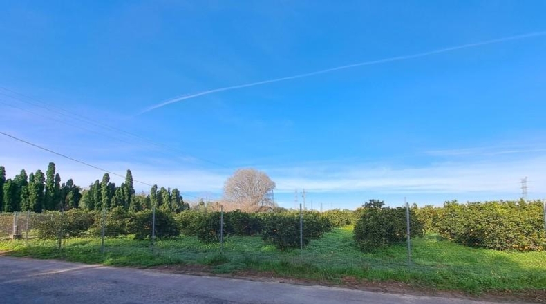 Valencia - Alcira - 24408m2