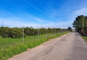 House with land for sale on España, Alzira, ref: TR372647 photo