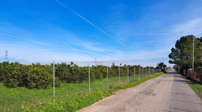 Valencia - Alcira - 24408m2