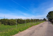 House with land for sale on España, Alzira, ref: TR372647 photo