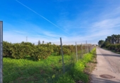 House with land for sale on España, Alzira, ref: TR372647 photo