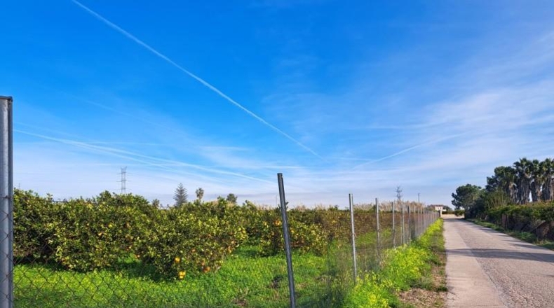 Valencia - Alcira - 24408m2