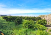 House with land for sale on España, Alzira, ref: TR372647 photo