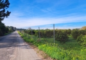 House with land for sale on España, Alzira, ref: TR372647 photo