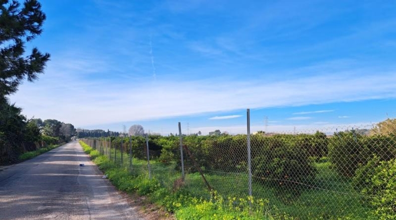 Valencia - Alcira - 24408m2