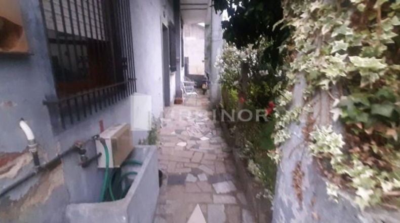 Orense - Ribadavia - 700m2
