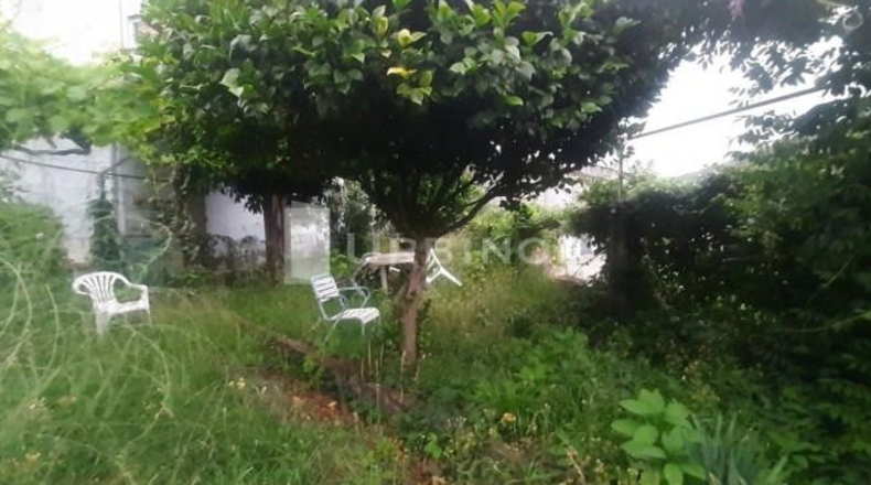 Orense - Ribadavia - 700m2