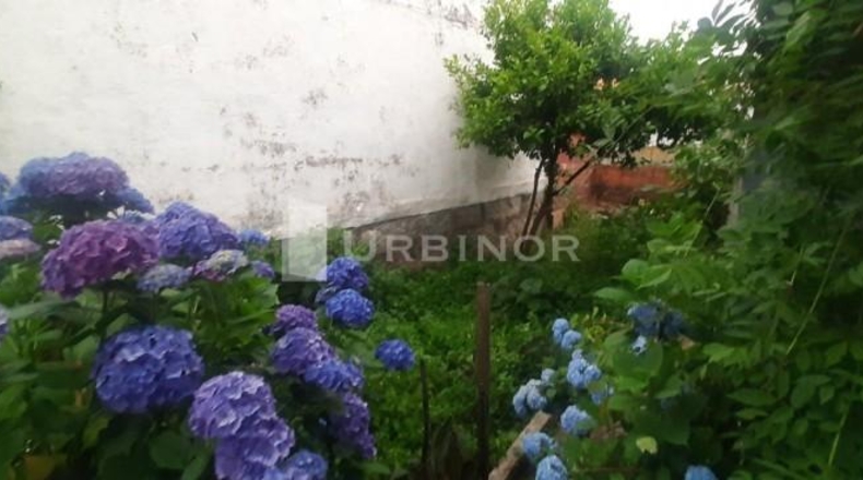 Orense - Ribadavia - 700m2