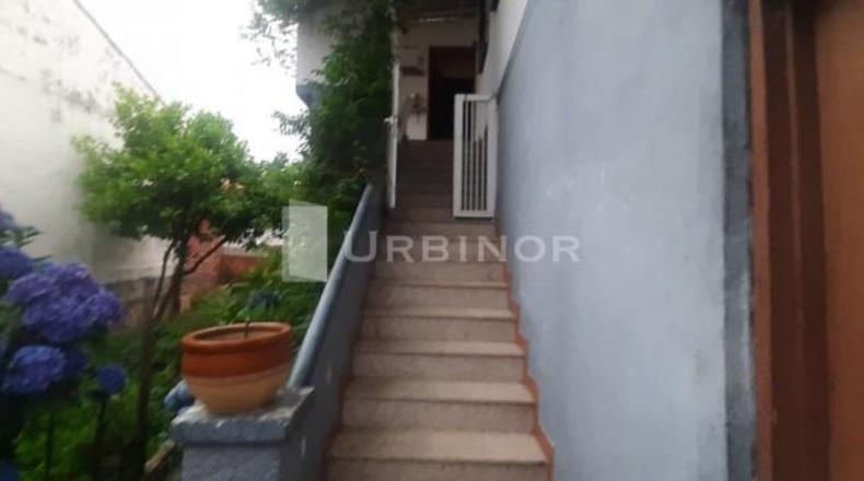 Orense - Ribadavia - 700m2