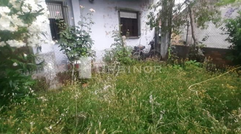 Orense - Ribadavia - 700m2