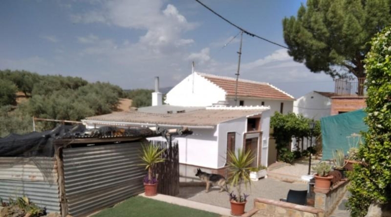 Granada - Loja - 600m2