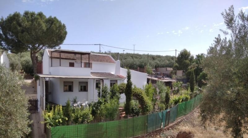 Granada - Loja - 600m2
