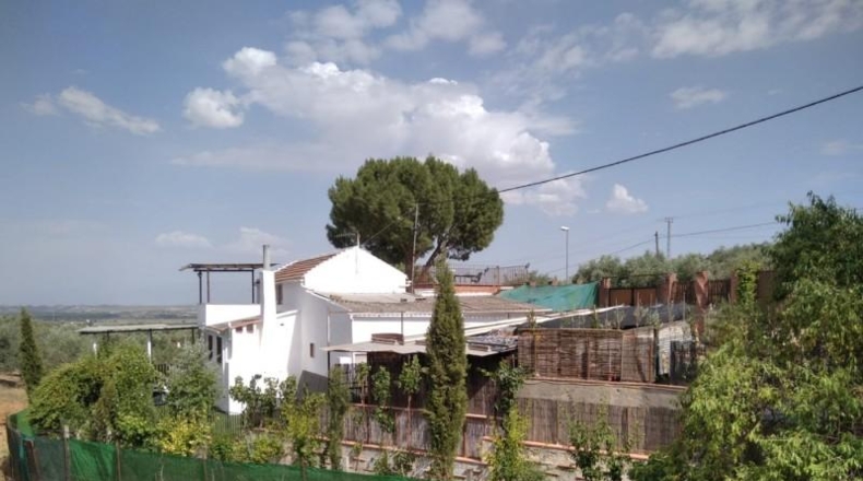 Granada - Loja - 600m2