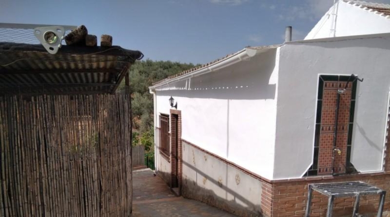 Granada - Loja - 600m2