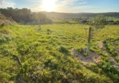 Non-developable land for sale on España, Algaida, ref: TR121168 photo