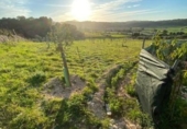 Non-developable land for sale on España, Algaida, ref: TR121168 photo