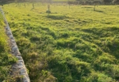 Non-developable land for sale on España, Algaida, ref: TR121168 photo