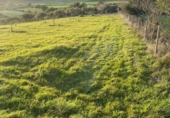 Non-developable land for sale on España, Algaida, ref: TR121168 photo