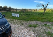 Non-developable land for sale on España, Algaida, ref: TR121168 photo