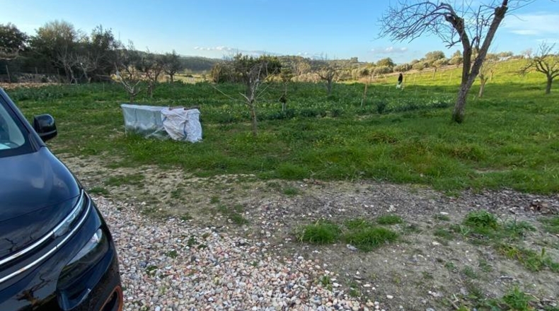 Balearic Islands - Algaida - 15000m2