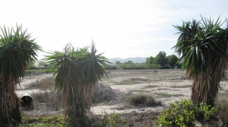 Alicante - Monforte del Cid - 24000m2