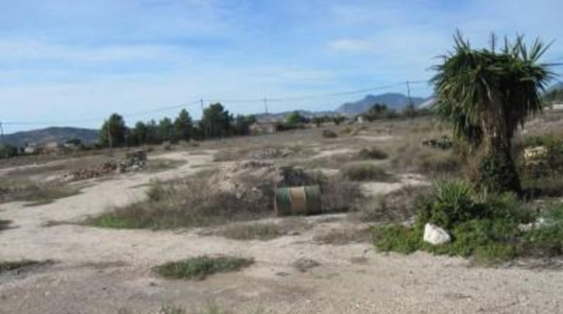 Alicante - Monforte del Cid - 24000m2