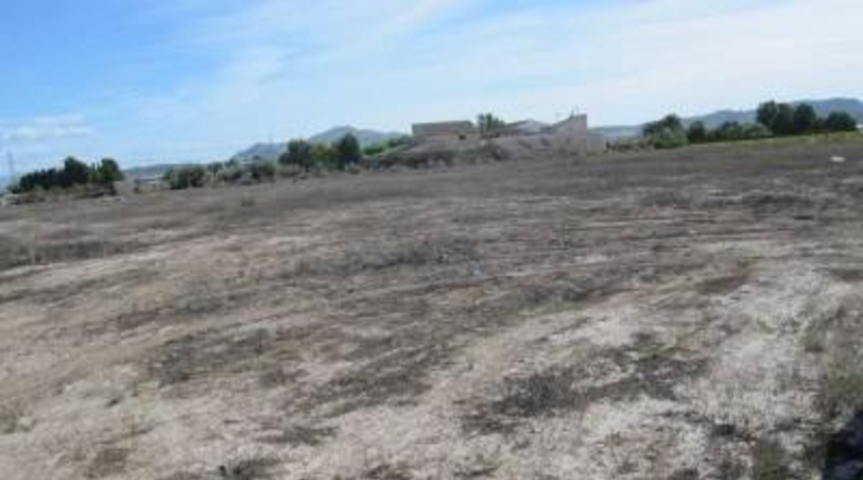 Alicante - Monforte del Cid - 24000m2