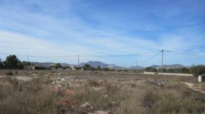 Alicante - Monforte del Cid - 24000m2