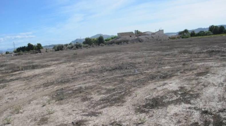 Alicante - Monforte del Cid - 24000m2