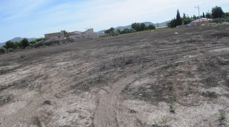 Alicante - Monforte del Cid - 24000m2