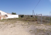 Casa de camp amb terreny en venda a la España, Elx, ref.: TR135317 foto