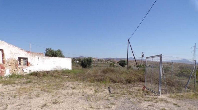 Alicante - Elche - 15624m2