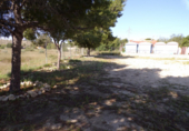 Casa de camp amb terreny en venda a la España, Elx, ref.: TR135317 foto