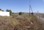 Casa de camp amb terreny en venda a la España, Elx, ref.: TR135317 foto
