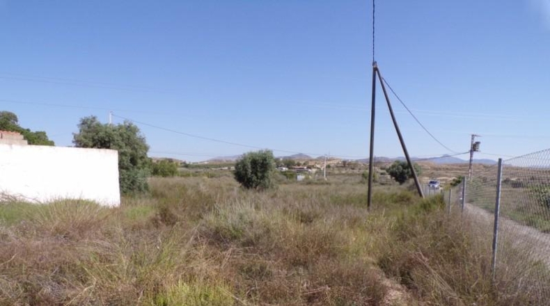 Alicante - Elche - 15624m2