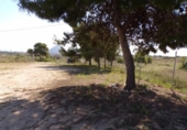 Casa de camp amb terreny en venda a la España, Elx, ref.: TR135317 foto